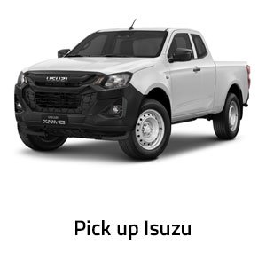Pick-up-Isuzu